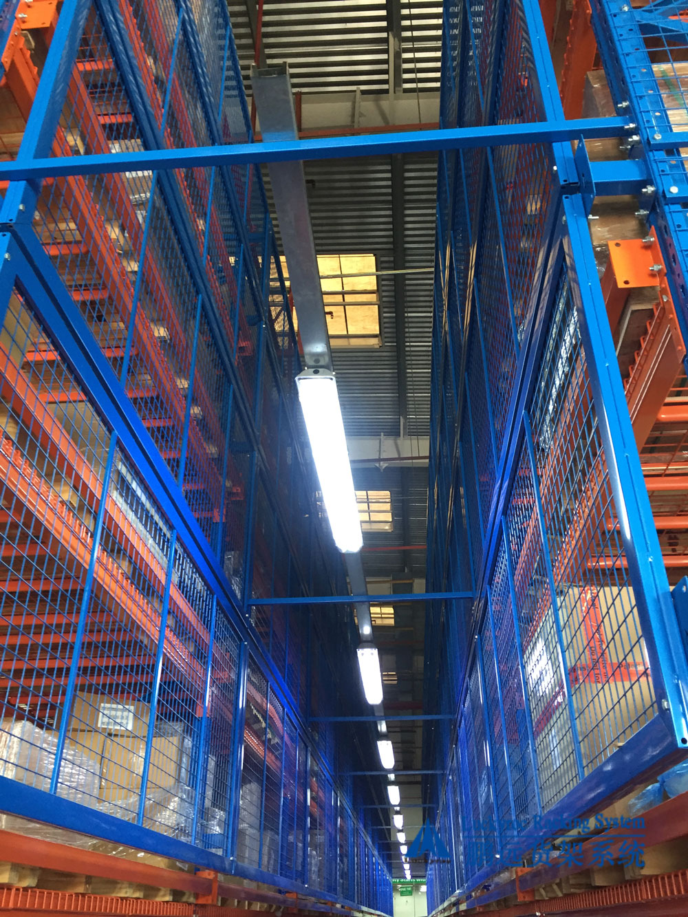 1550452628745035.jpg 5.jpg