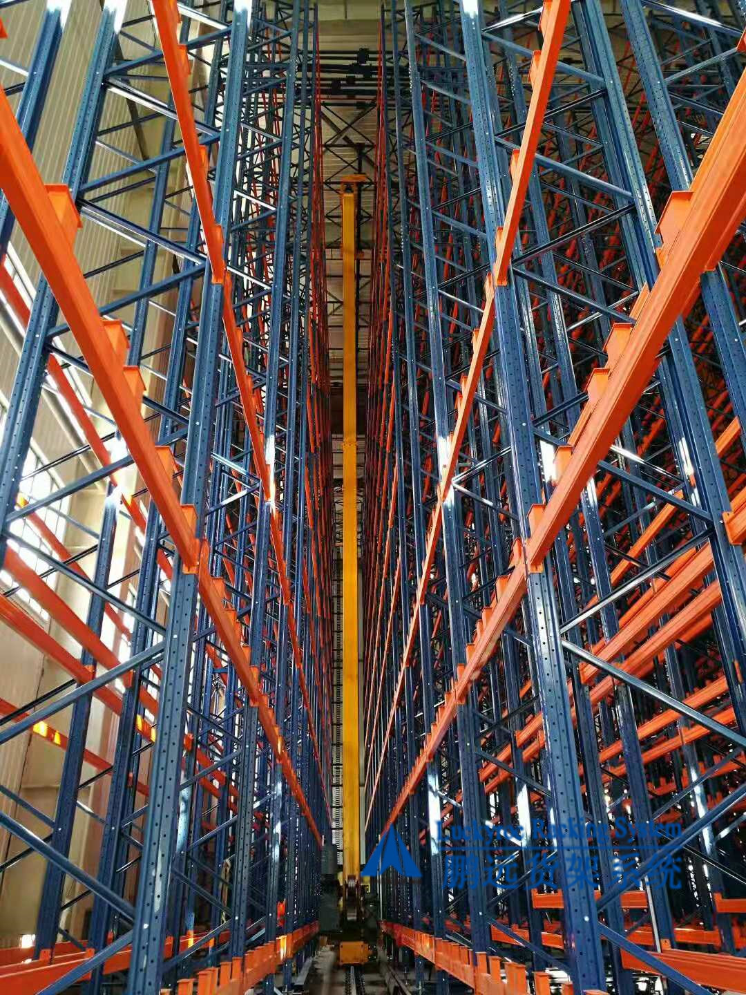 1550736640909132.jpg 長塑圖1.jpg